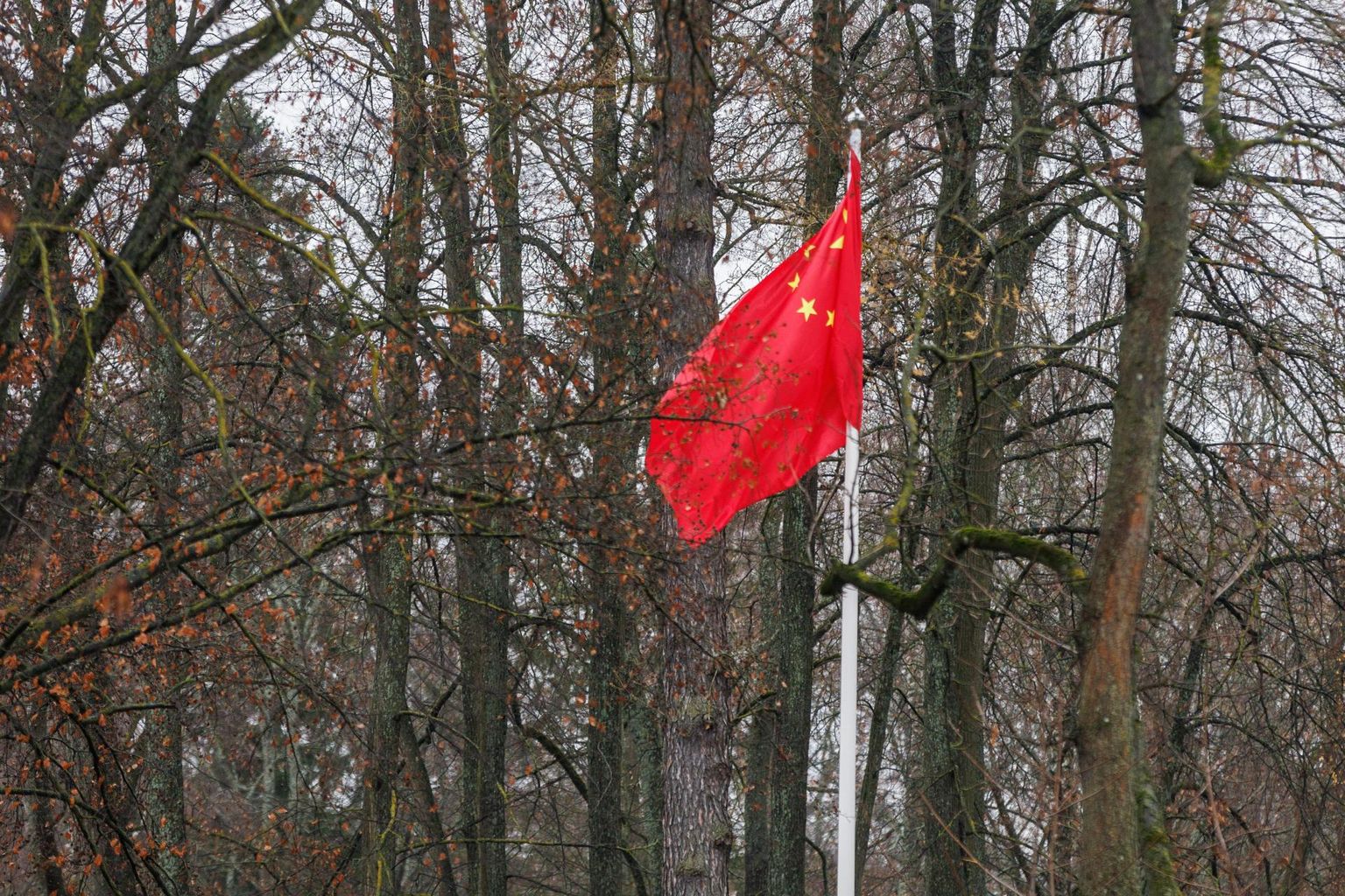 Hiina lipp rahvavabariigi suursaadiku residentsi ees.