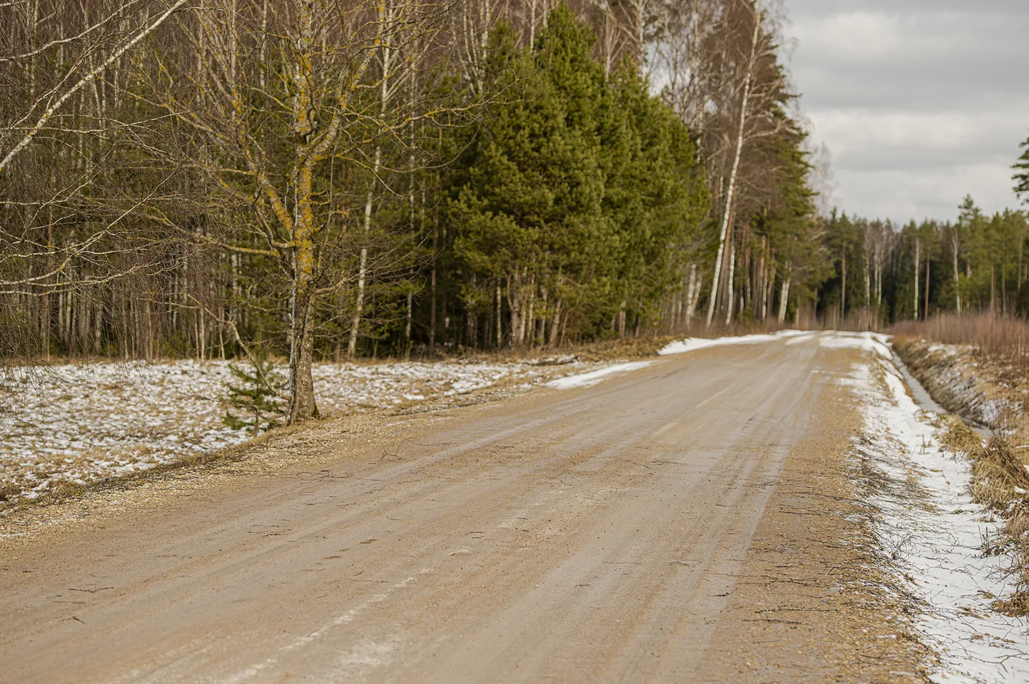 Гравийная дорога