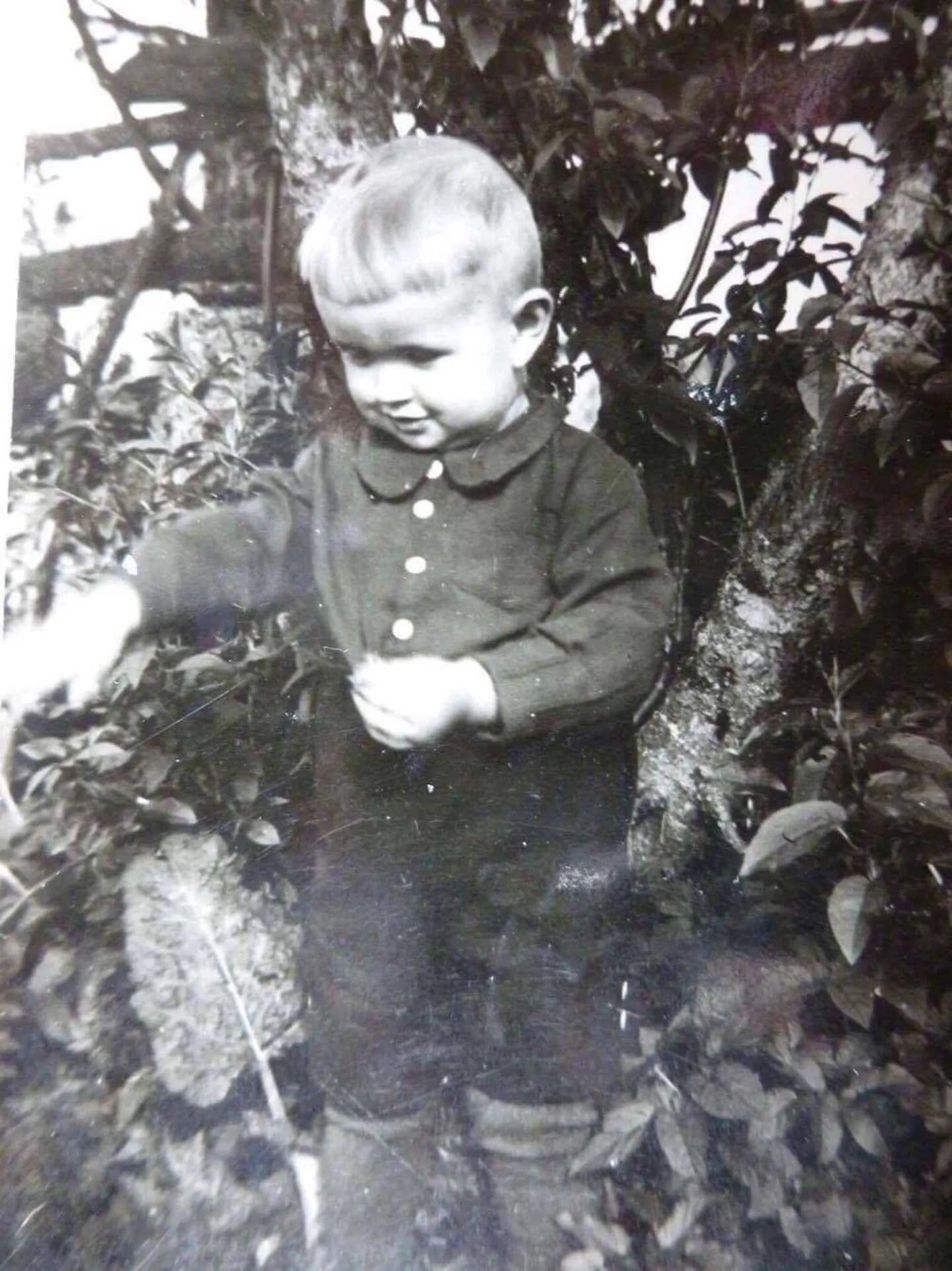 Hans Kaldoja lapsena