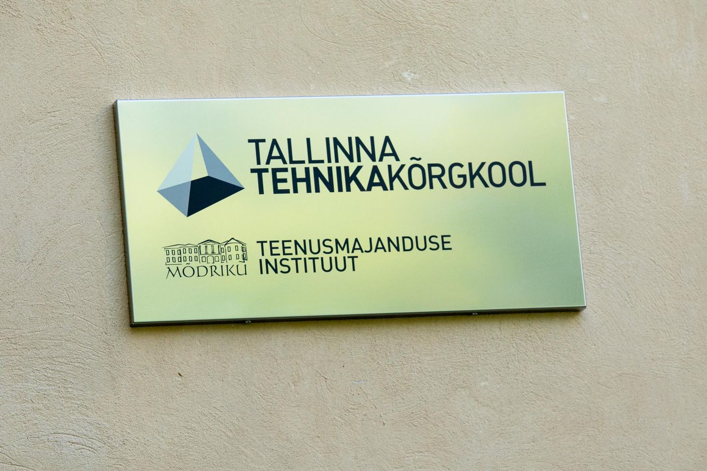 Kõikidele Tallinna tehnikakõrgkooli teenusmajanduse instituudi erialadele laekus avaldusi rohkem kui mullu.