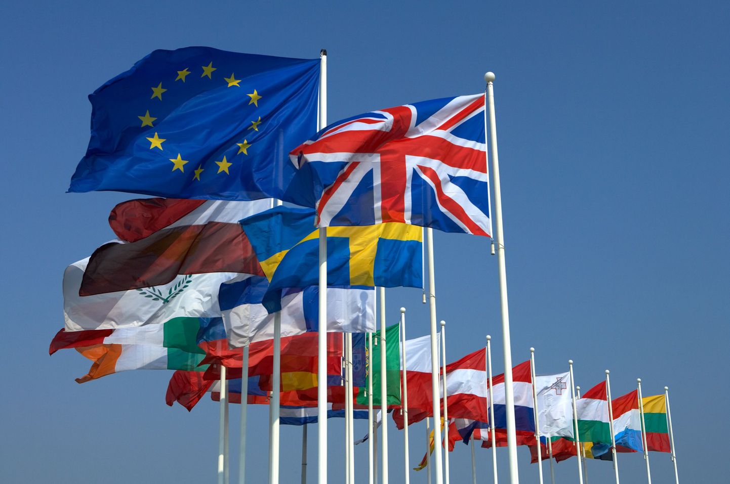 Euroopa Liidu ja liikmesriikide lipud.