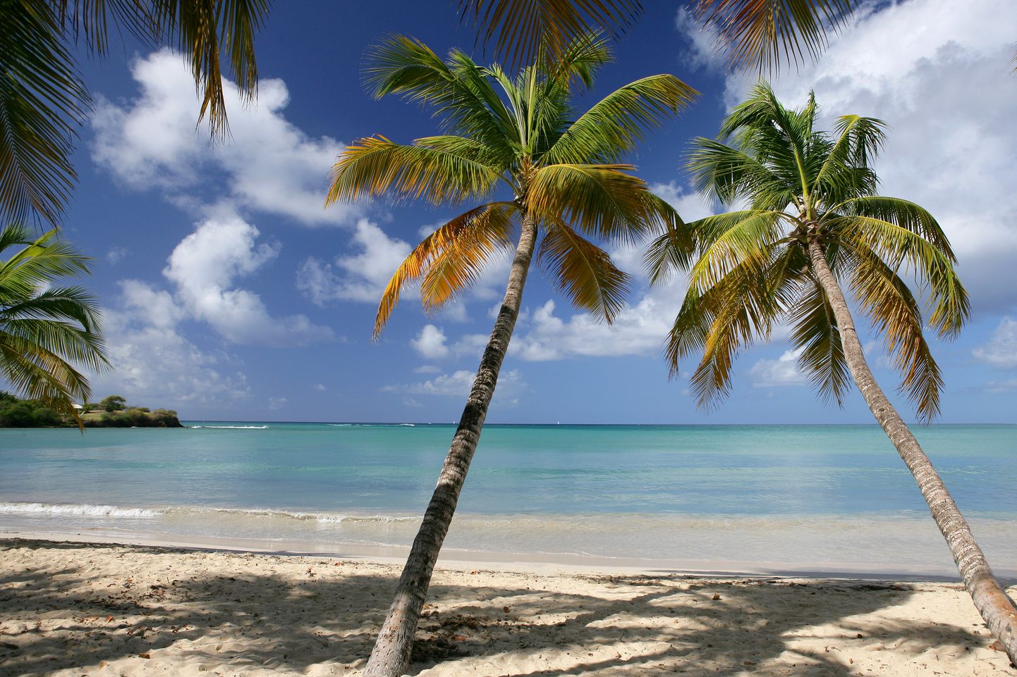 Martinique saar