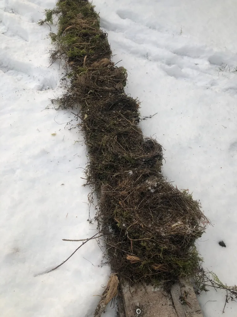Äkki hoopis kärgpere elamu?