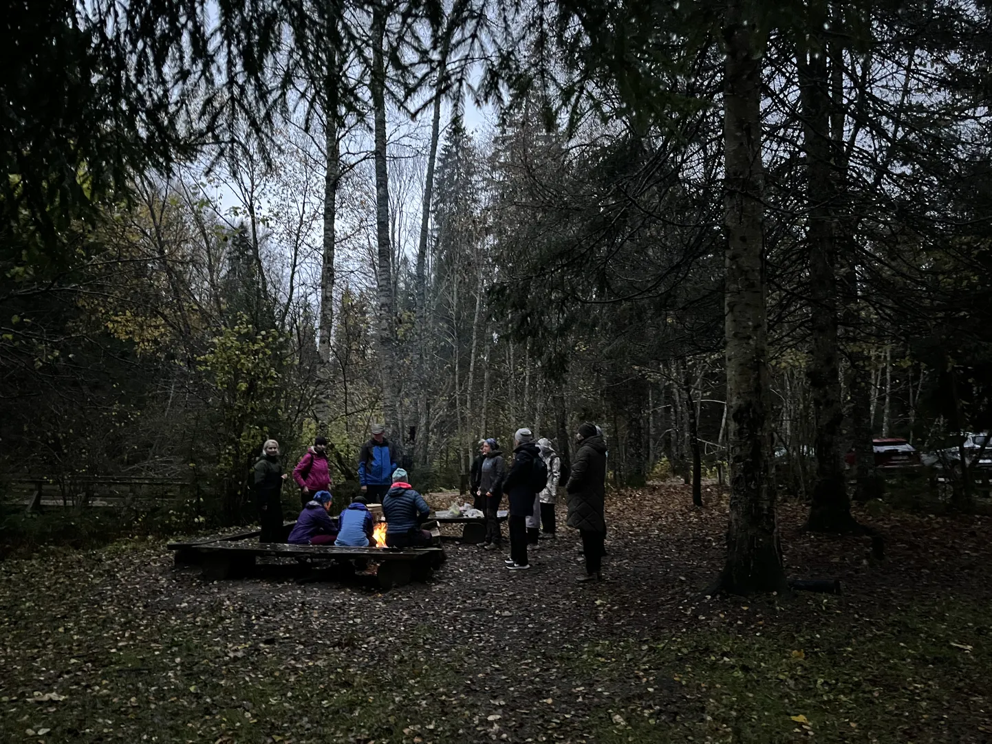 KOLUMN Vähesed kogevad, et sügispimedus pole maailmalõpp