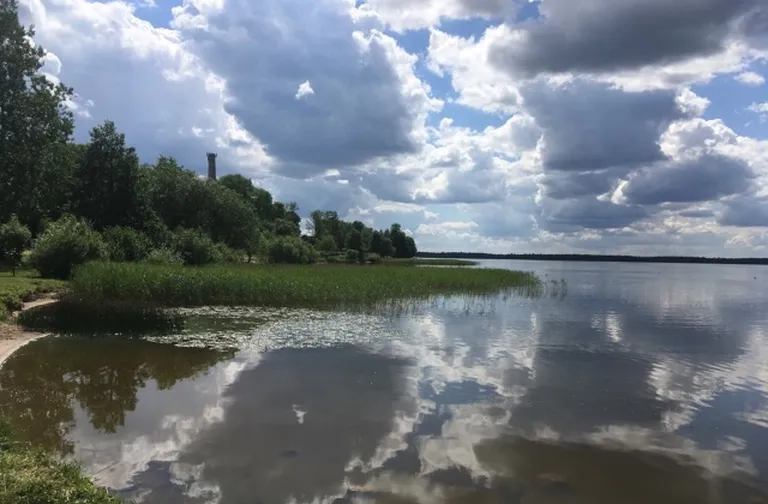 Фото статьи