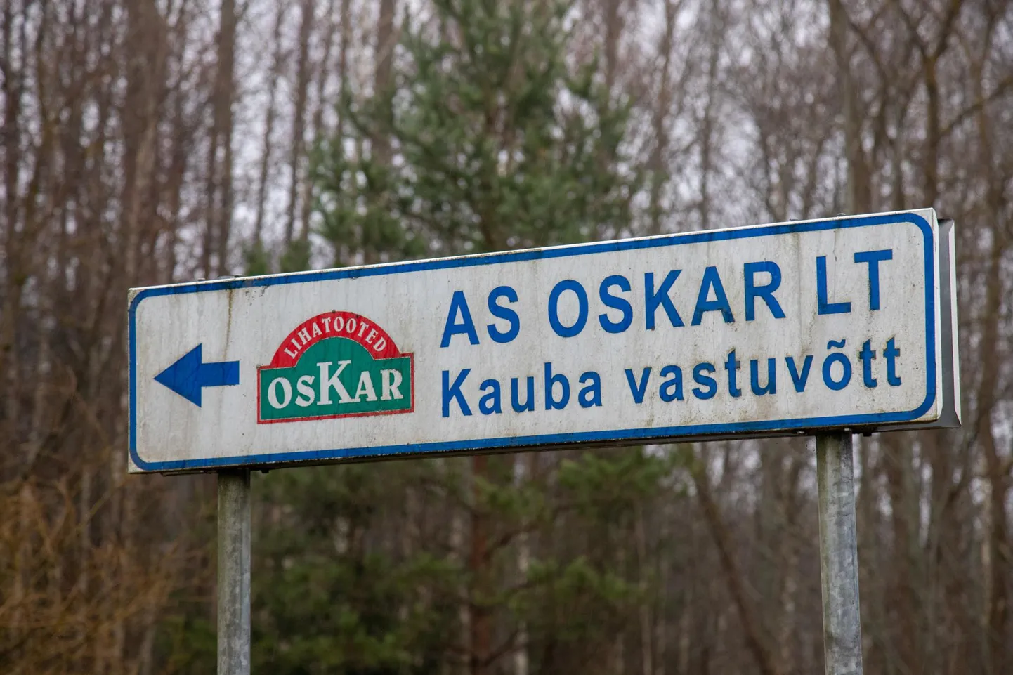 Nädal tagasi avastati Oskari Lisatööstuse tootest listeeriabakter. VTA toiduosakonna juhataja kinnitusel oli AS Oskari Lihatööstuses tehtud korduv pinnaproov, mis võeti pärast töölaua puhastust, negatiivne.