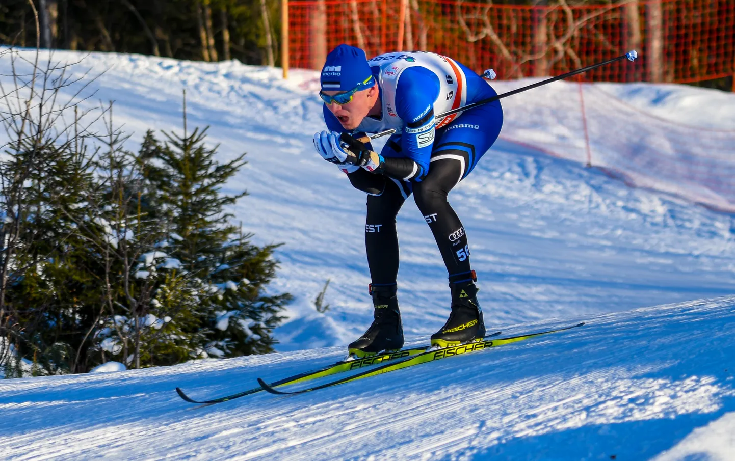 Karel Tammjärv