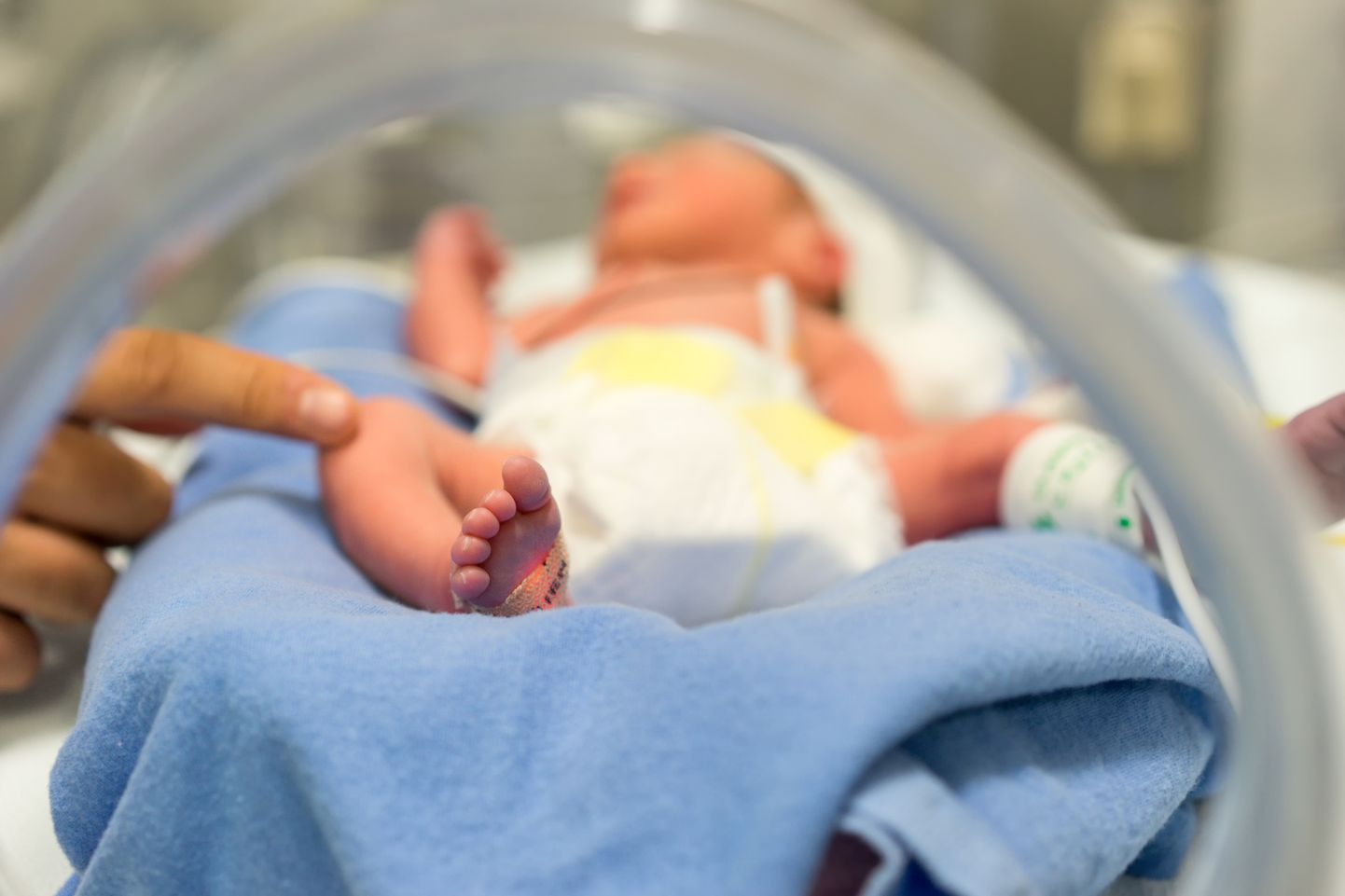 Inkubaatorid on enneaegselt sündinud beebide jaoks väga olulise tähtsusega. Pilt on illustreeriv.