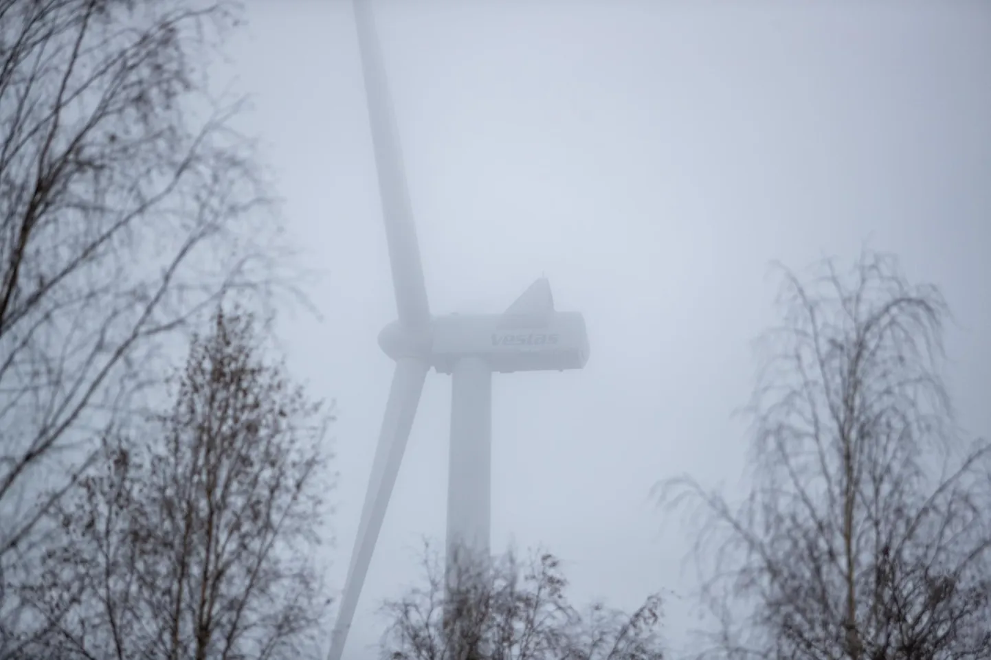 Eriplaneeringus on tuulikute maksimumkõrguseks märgitud kuni 290 meetrit, kuid eeldatavasti tulevad kõik madalamad.