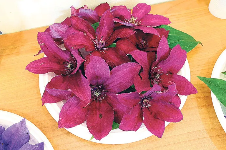 Artikli foto