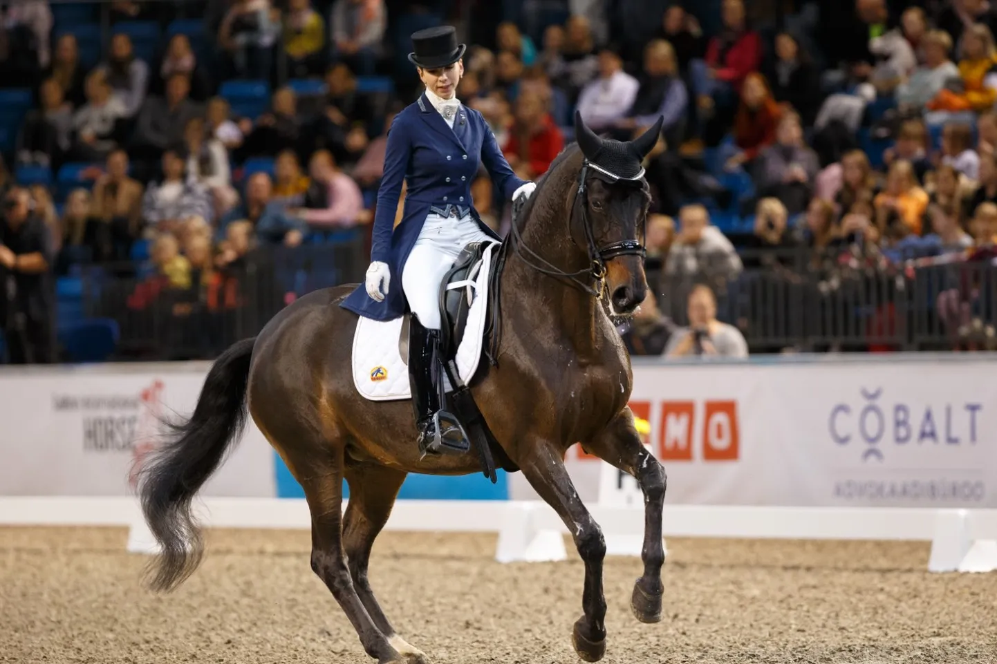 Dina Ellermann ja Landys Akvarel 2019. aasta Tallinn International
Horse Show'l.