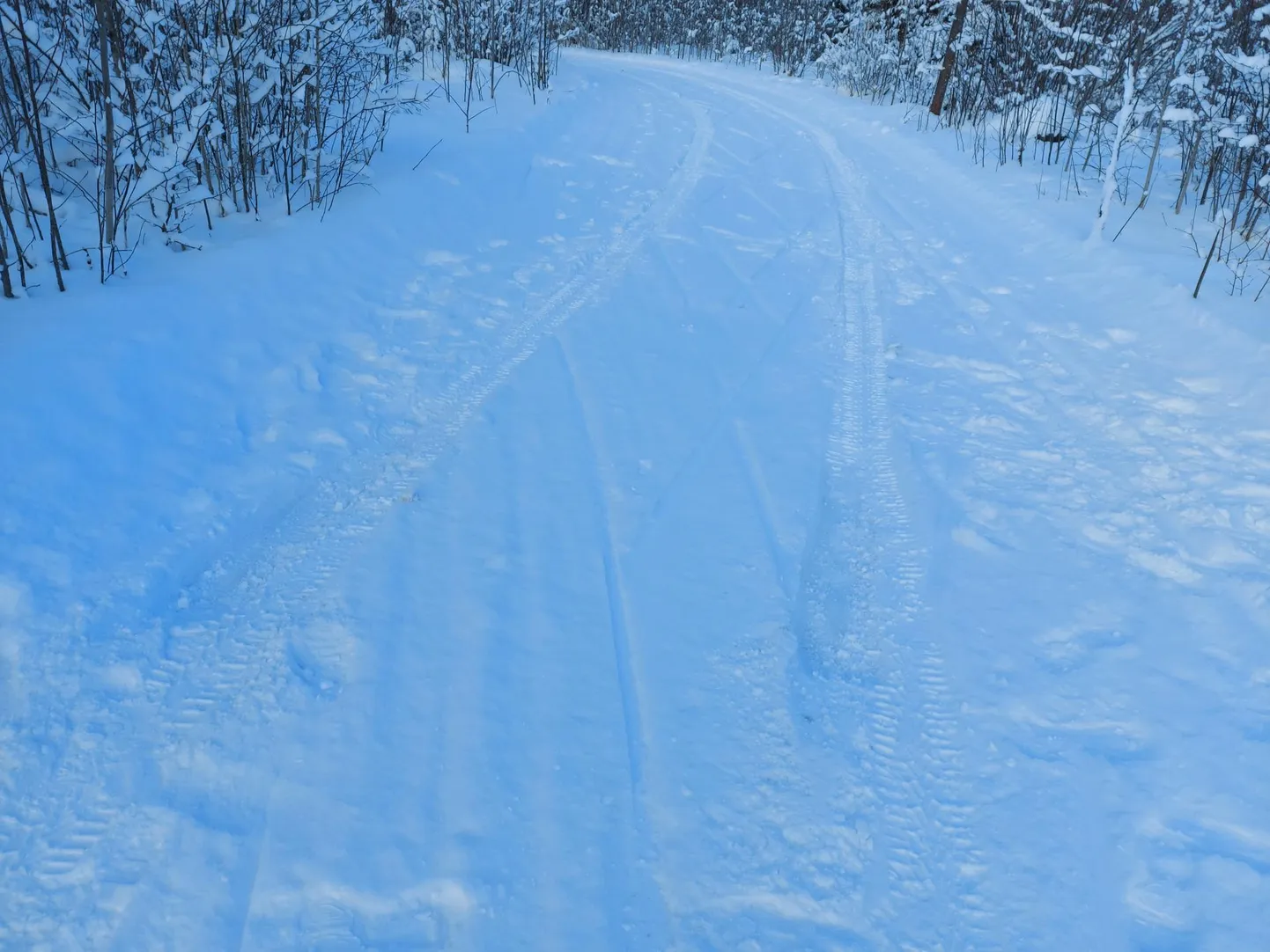 Sõmeru suusarajal sõitnud auto oli ilmselt nelikveoline.