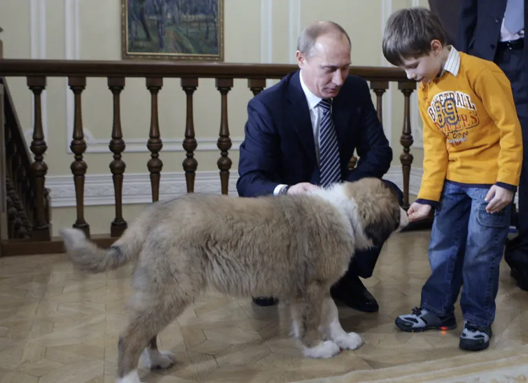 Putin, Dima ja Buffy.
