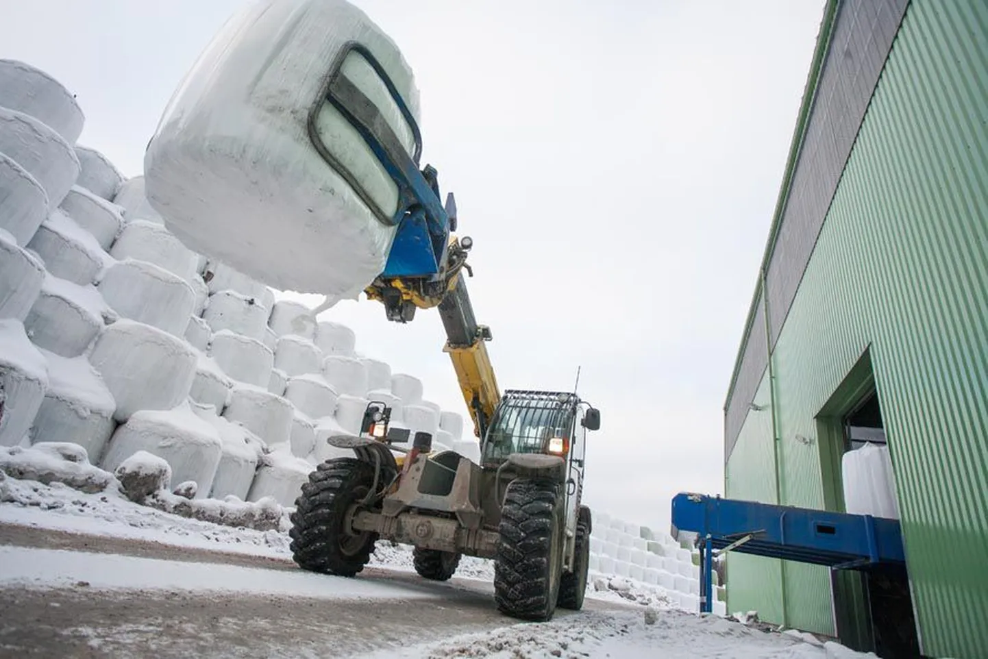 Väätsa prügilas on veoks Iru elektrijaama valmis 20 000 tonni rullidesse kiletatud olmeprügi, mis on kiletatud tonnisteks pallideks ja ladustatud virna.