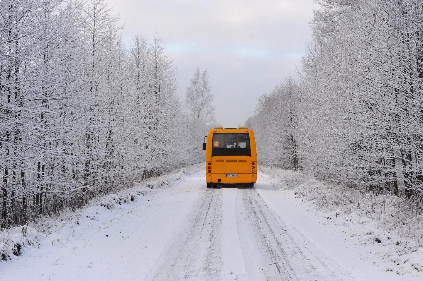 Autobuss uz meža ceļa.