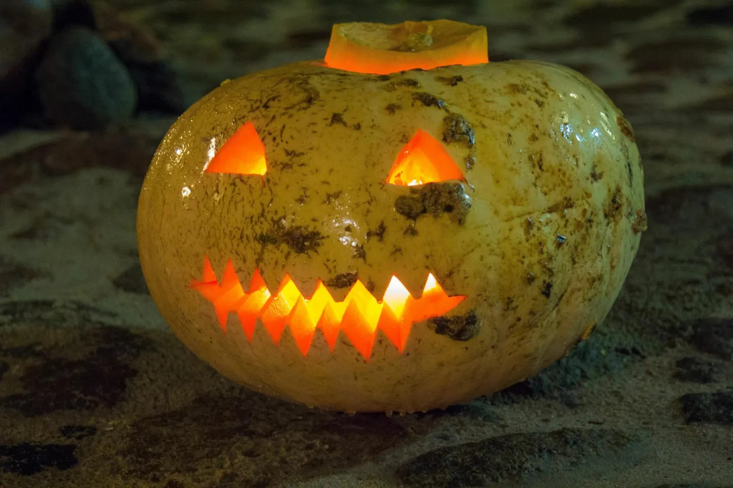 Halloween'i ikooniks on õõnestatud ja sel moel endale näo saanud kõrvitsad.