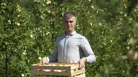 Eesti õunad võistlevad välismaiste iludustega