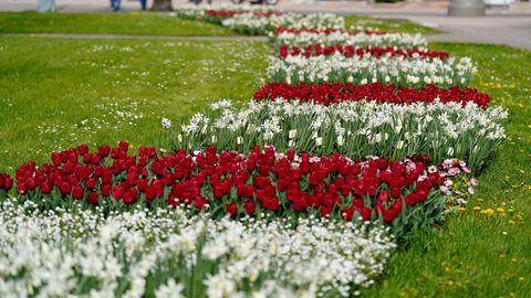ГЛАВНОЕ ЗА 12 АПРЕЛЯ ⟩ Ограничения движения из-за акции таксистов, части дрона на пляже в Эстонии и администрация Трампа давит на Литву