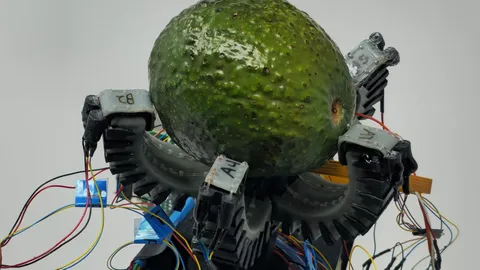 Puuvilju korjavad robotid võivad saada «maagilised» käed