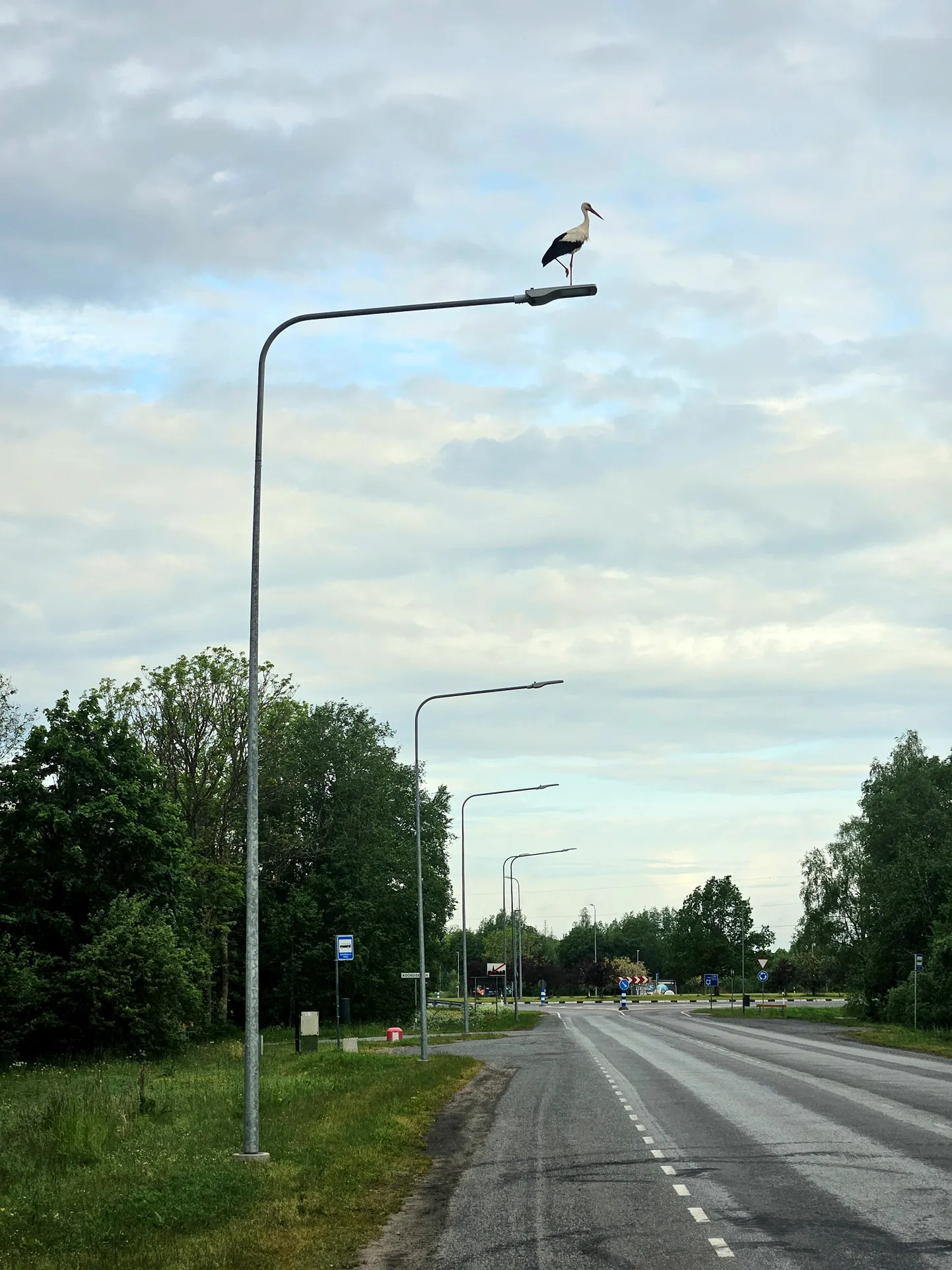 Artikli foto