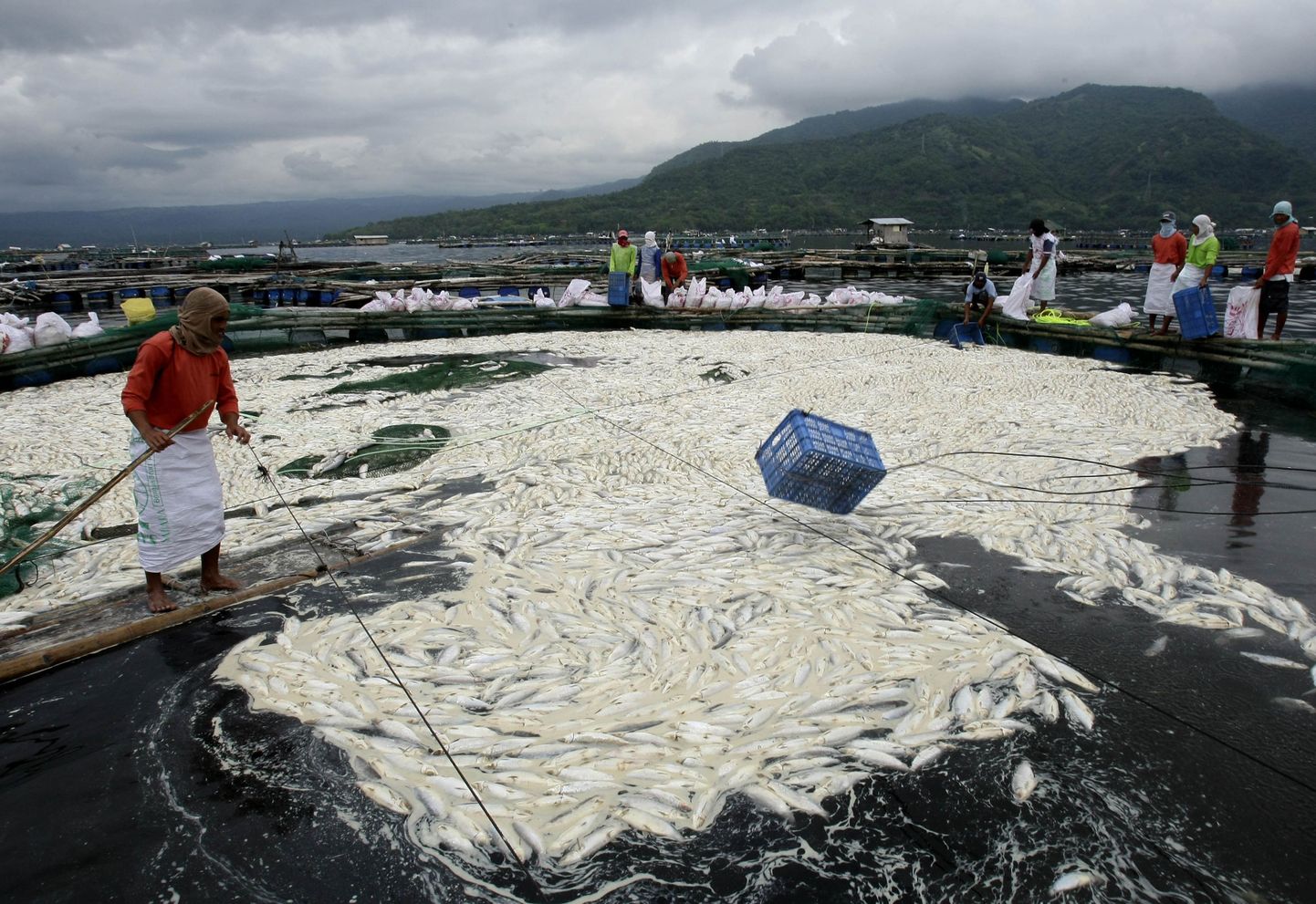 Rohkem kui 800 tonni kala hukkus Filipiinidel Taali vulkaani lähistel