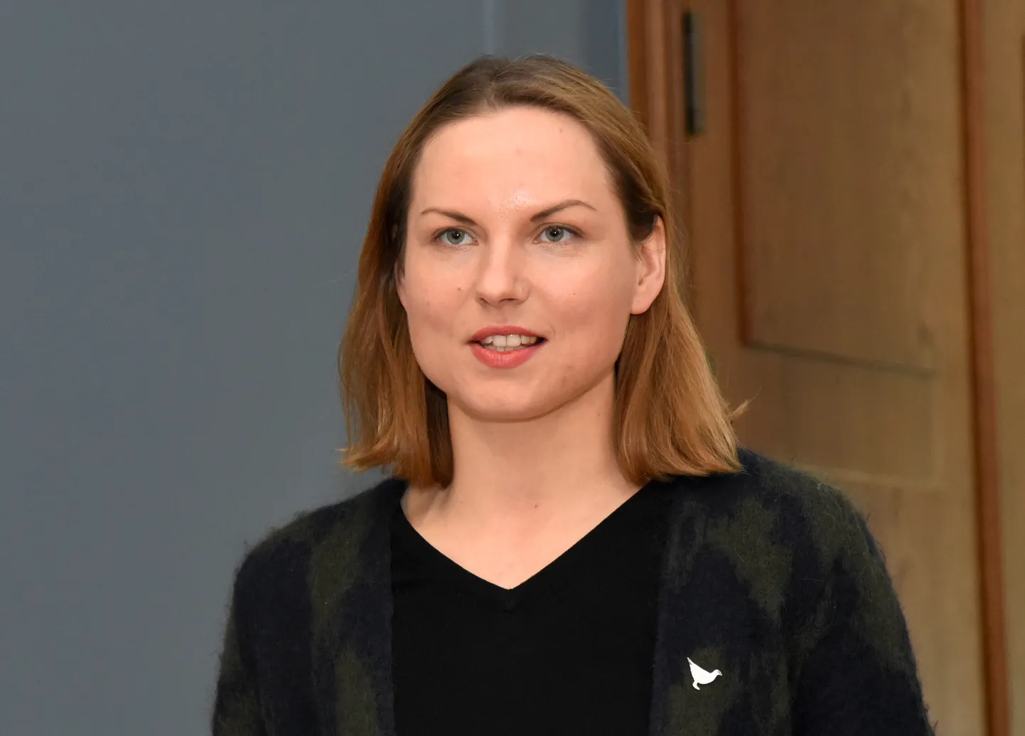 Raksta foto