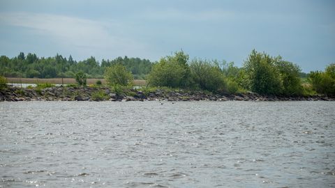 Российские пограничники нарушили границу: почему у Эстонии есть участок суши по ту сторону Наровы?