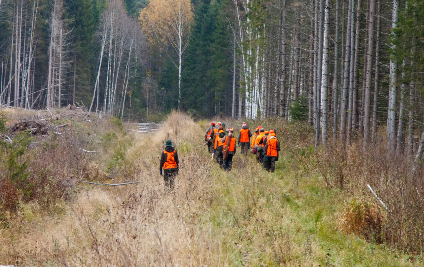 Põdrajaht Valgamaal.