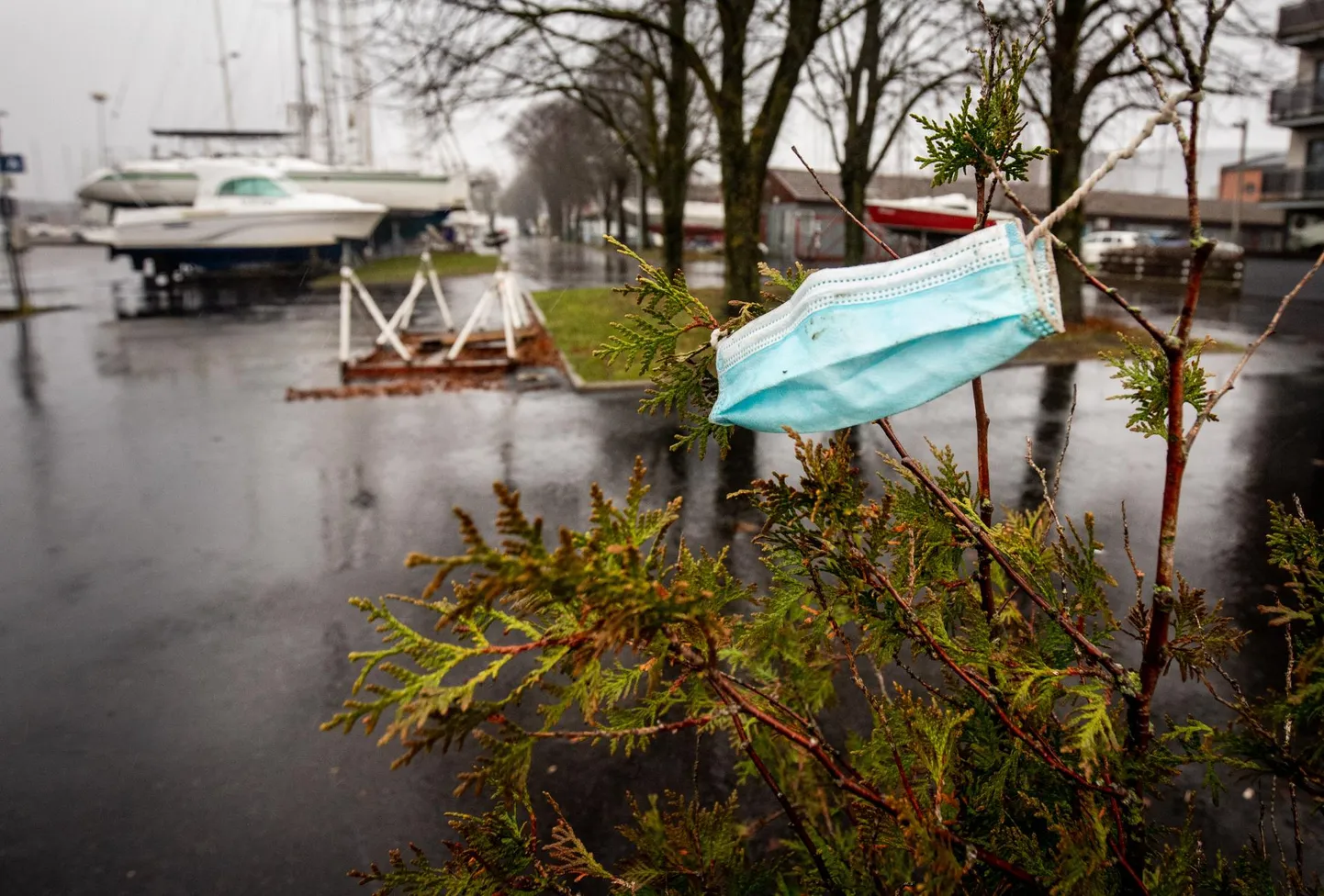Maski kannab 84 protsenti pärnumaalastest. Seda võiks ju pidada heaks tulemuseks, kuid mujal Eestis on inimesed siiski usinamad maskinõude järgijad.