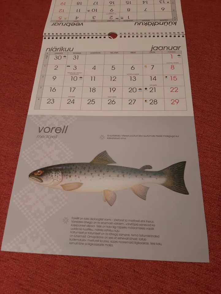 Kihnu kalender mõjub nagu kalandusõpik
