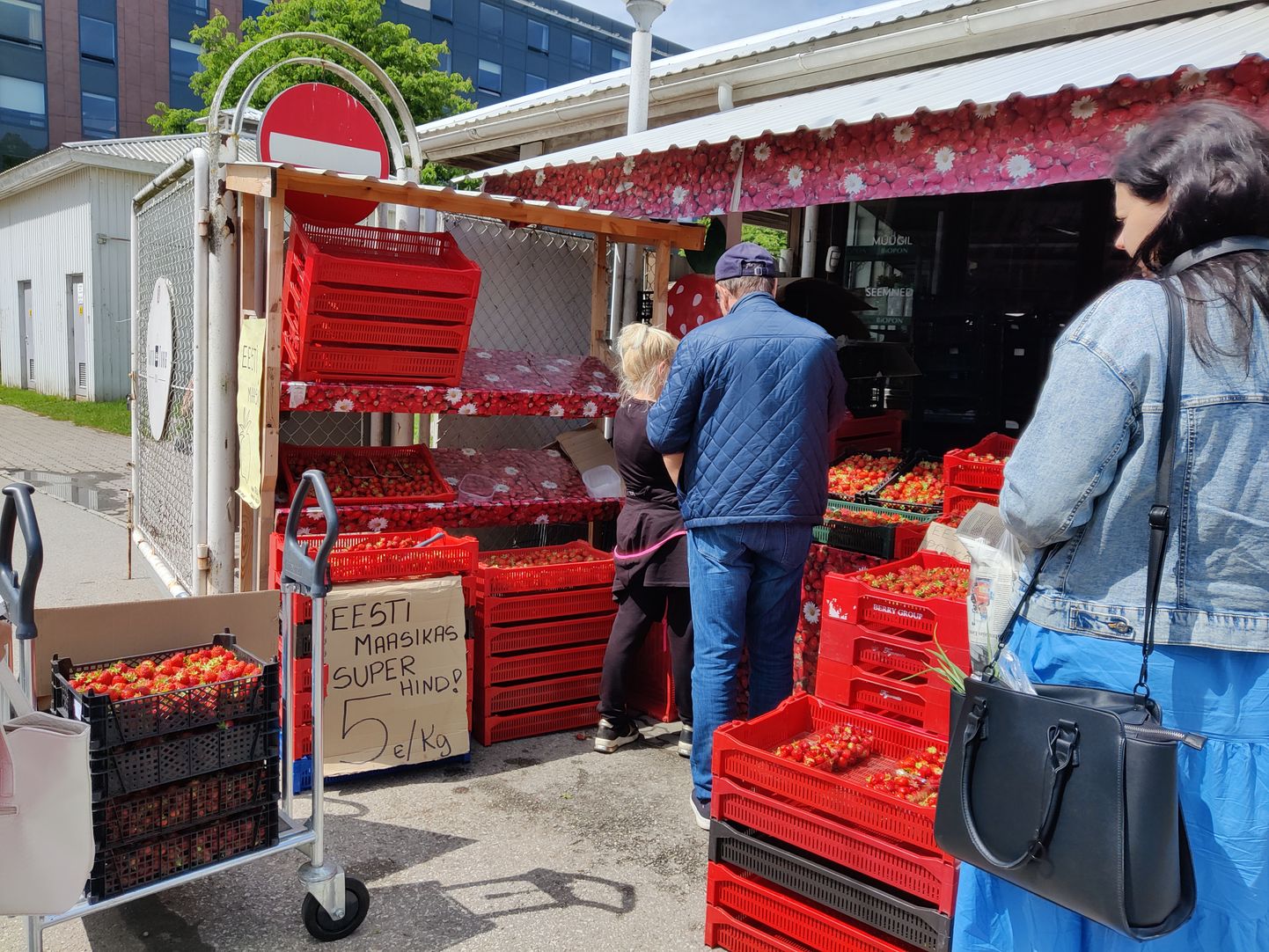 Täna müüdi Tartu avaturul kodusmaiseid maasikaid kolm korda soodsamalt kui nädal tagasi.