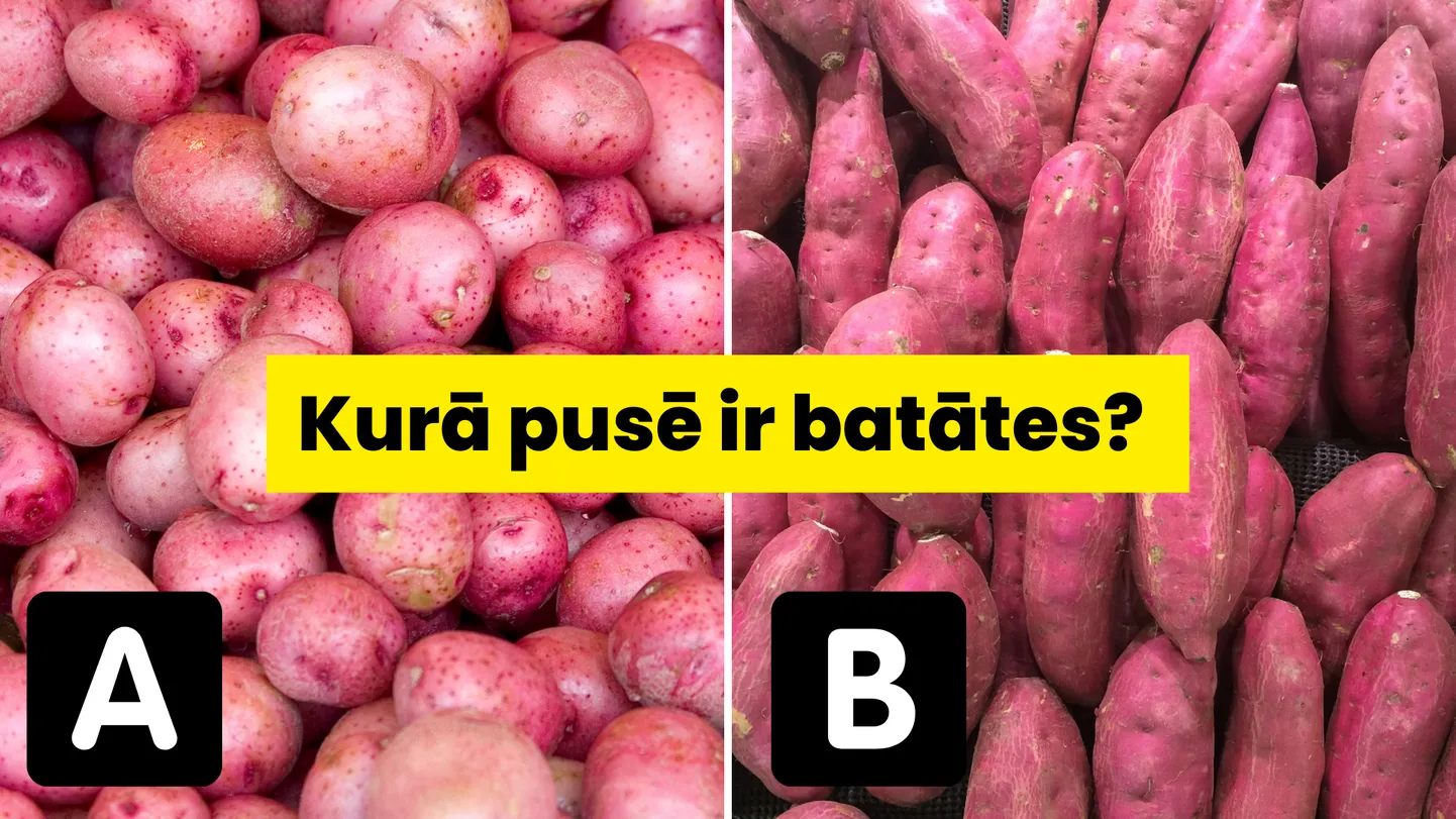 Raksta foto