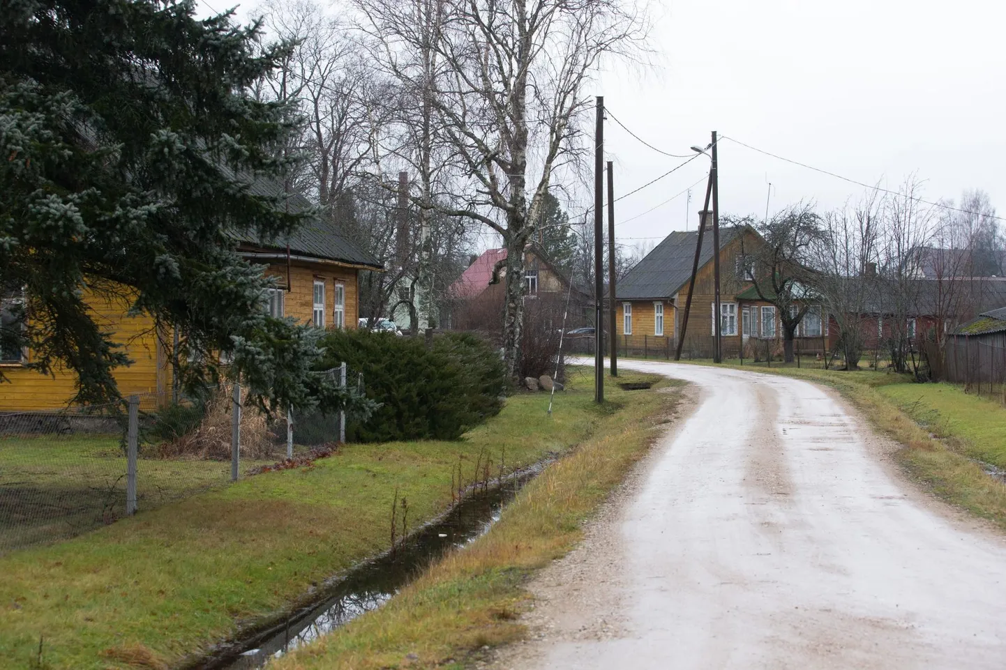 Erakordselt soojade 2019. aasta jõulude ajal jäi õhutemperatuur ööpäevas kahe kuni viie plusskraadi juurde. Foto on tehtud esimesel jõulupühal Mõisakülas.
