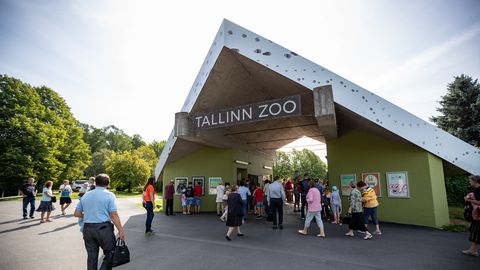 В субботу дети вновь смогут посетить зоопарк бесплатно