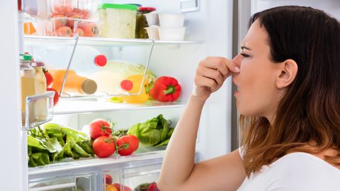 Ужасный запах из холодильника: простой способ от него избавиться