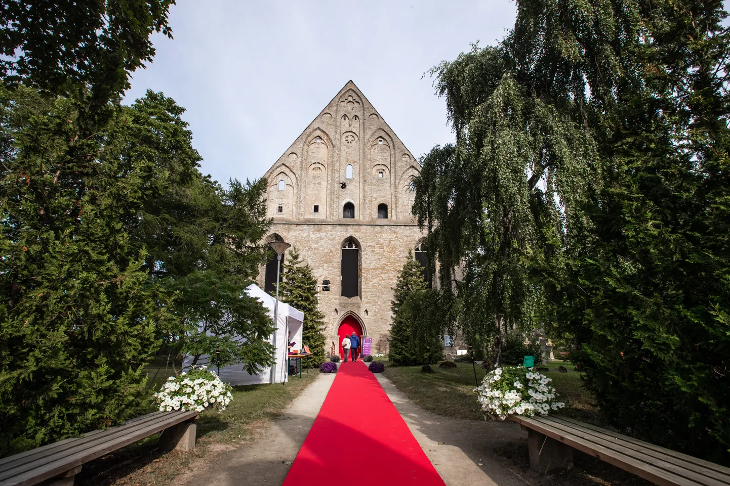 Фото статьи