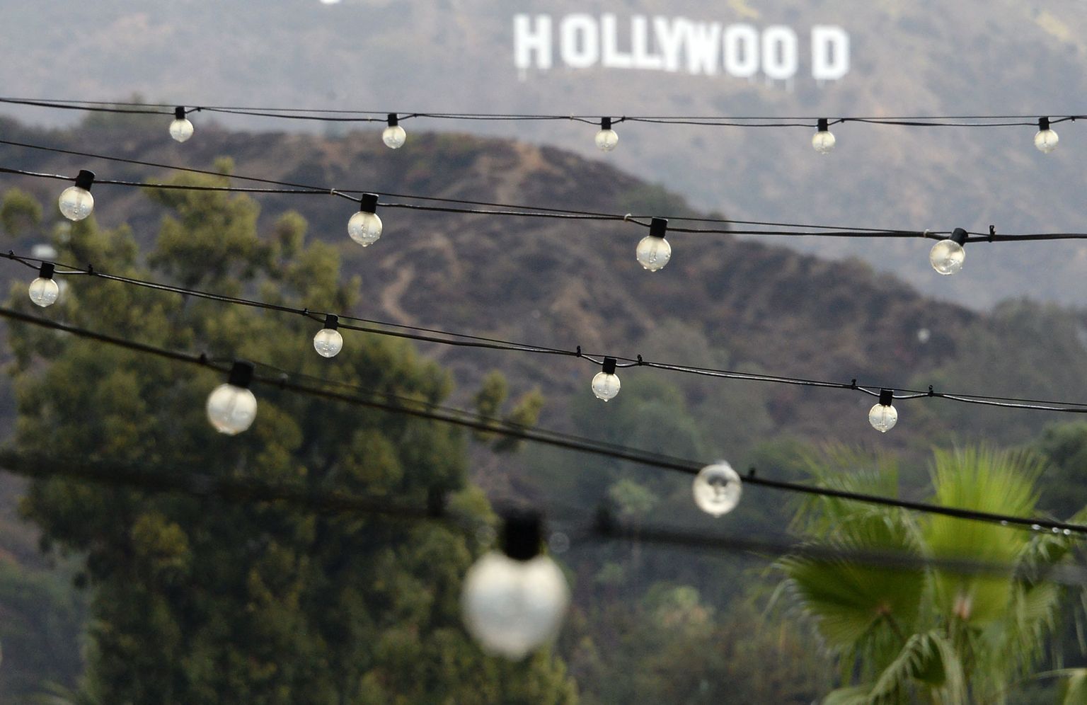 Filmimeka Hollywoodi silt USA-s Los Angeleses. Üsna tundmatu näitleja Zachary Horwitz pettis investoritelt välja 650 miljonit dollarit