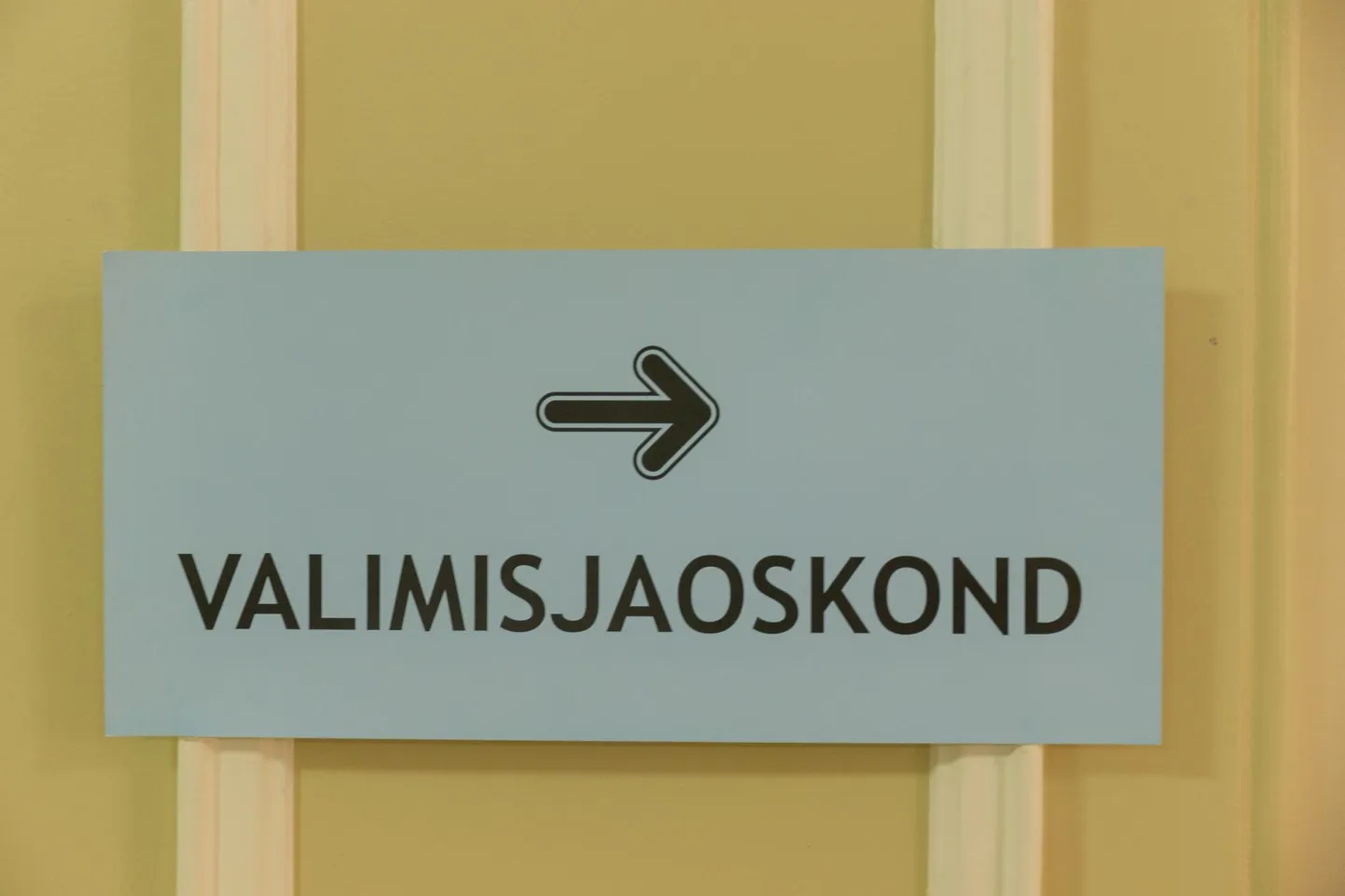 Kohaike volikogude valimised on 17. oktoobril.