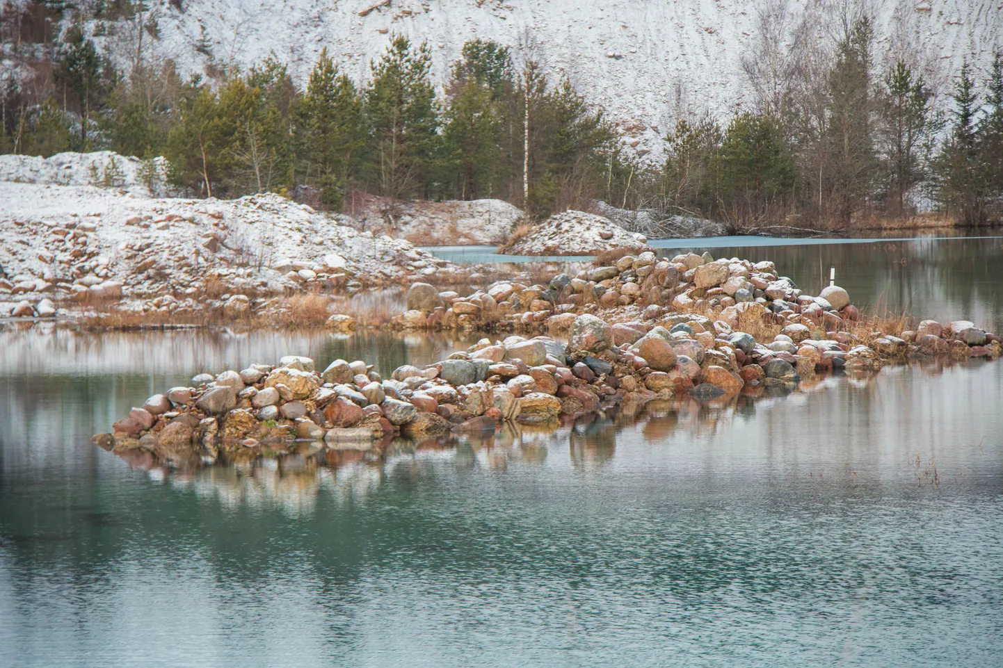 Lasila Betoon sulges karjääri ja sellest tehti konnade hoiuala.