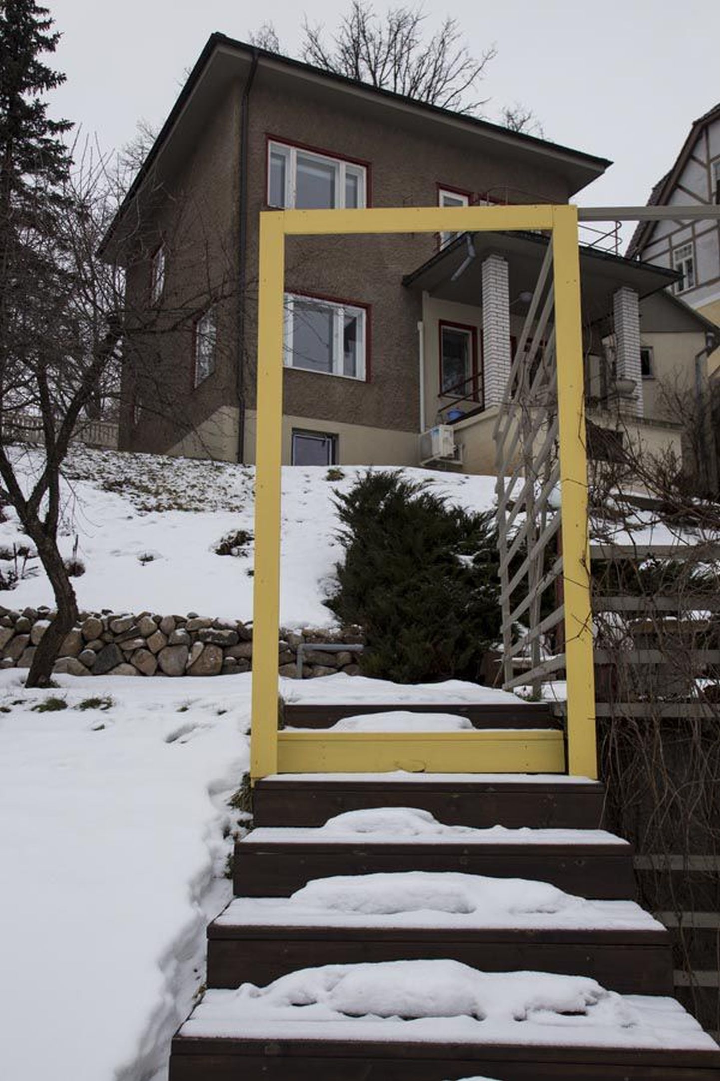 Viljandlase Tonio Tamra aias seisab kollane raam, mis meenutab eemalt vaadates ajakirja National Geographic logo ja püüab seetõttu inimeste pilke. Tegelikult on too kollane raam metsviinapuu toestus.