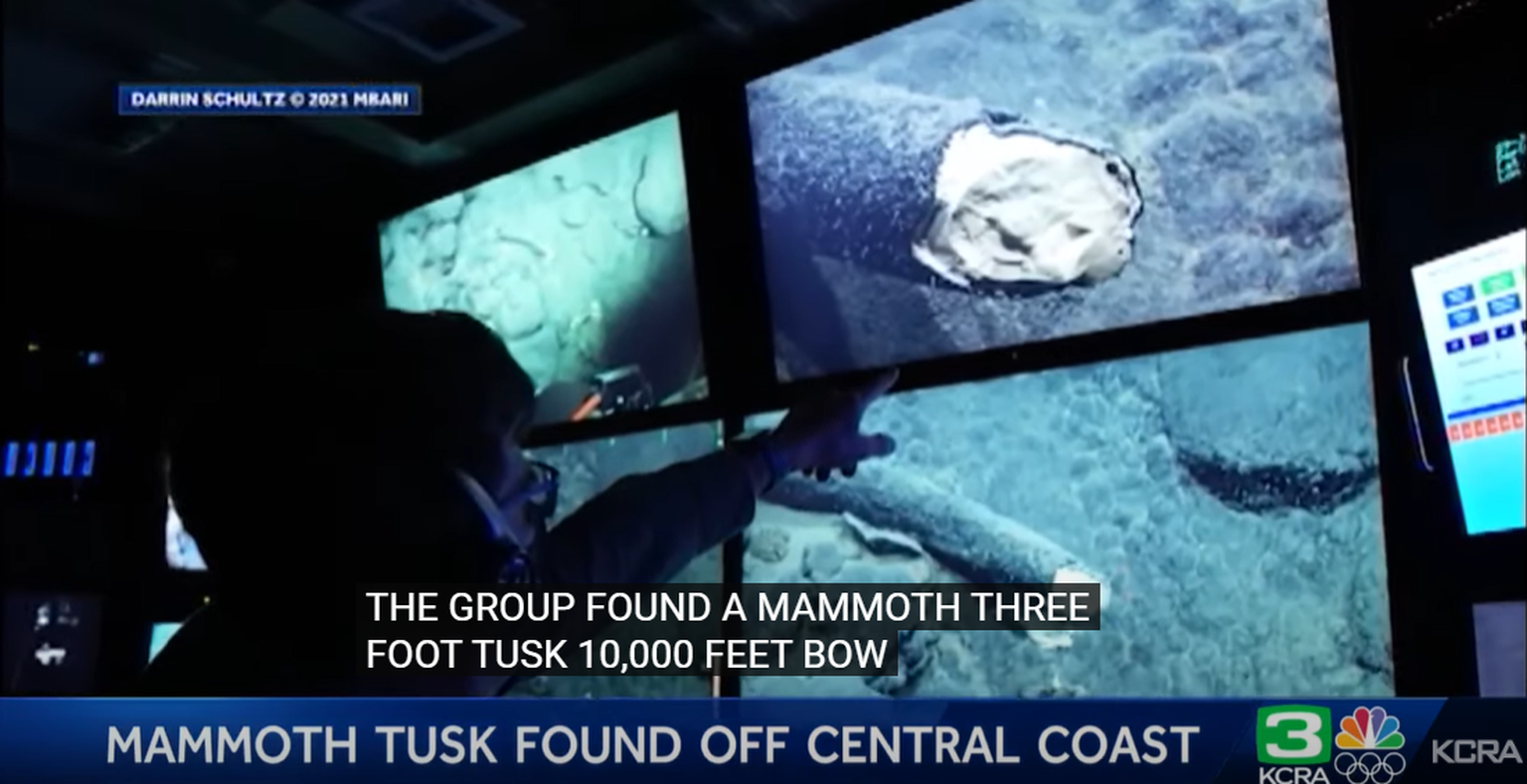 USA California ranniku lähedalt Vaiksest ookeanist kolme kilomeetri sügavuselt leiti mammutivõhk