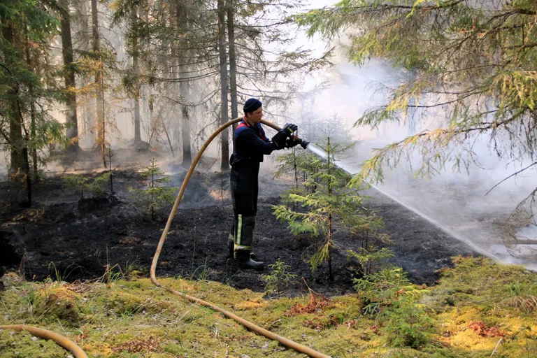 Metsapõleng Hummuli vallas Aitsra külas.