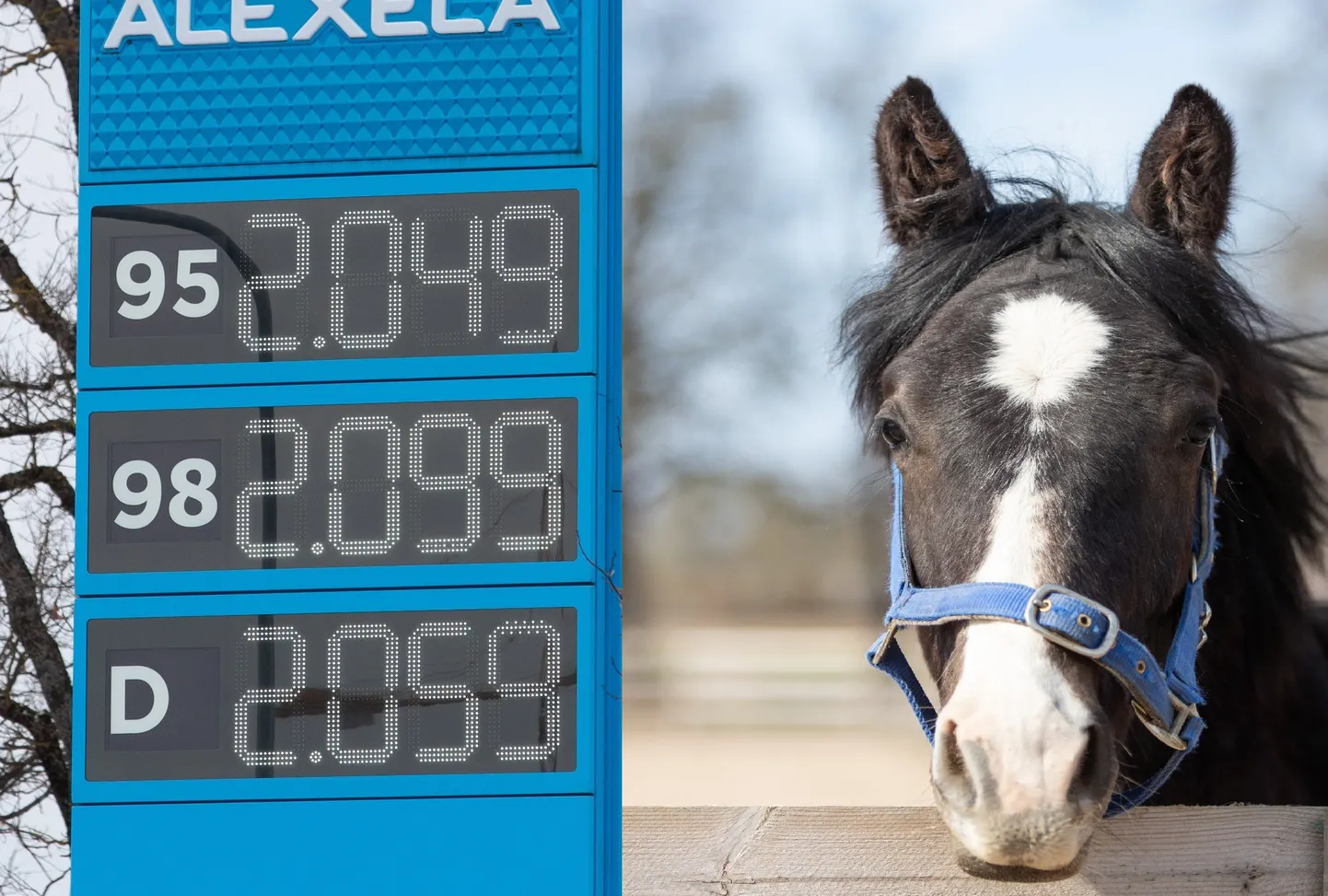 Kõrge kütusehind viib mõtted hobusevõtule