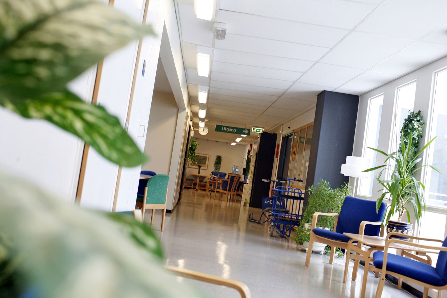 Rootsi arsti süüdistatakse patsientide seksuaalses ärakasutamises.