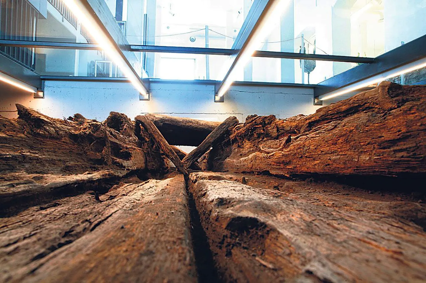 Muuseum paikneb nagu tellitult ajaloolisel asukohal: klaaspõranda all on näha säilinud linnavärava jäänused, mille kaudu liikusid keskajal kaup ja inimesed hansalinna.