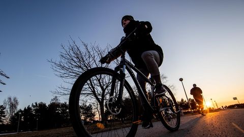 Таллинн в ближайшие годы покроет сеть велодорожек