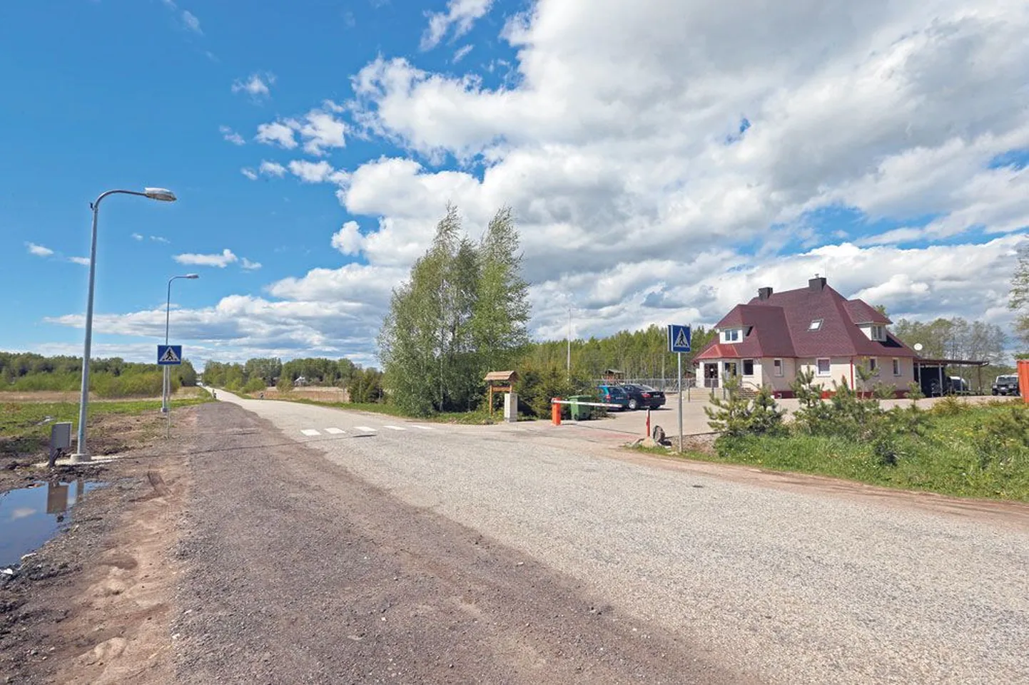 Kullerkupu eralastead.