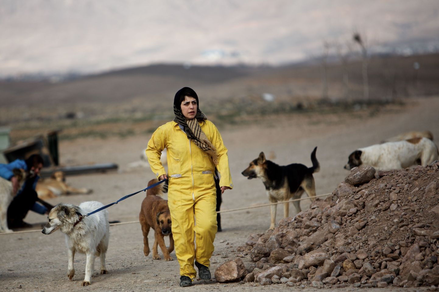 Koerad loomade varjupaigas Iraani pealinna Teherani lähistel.
