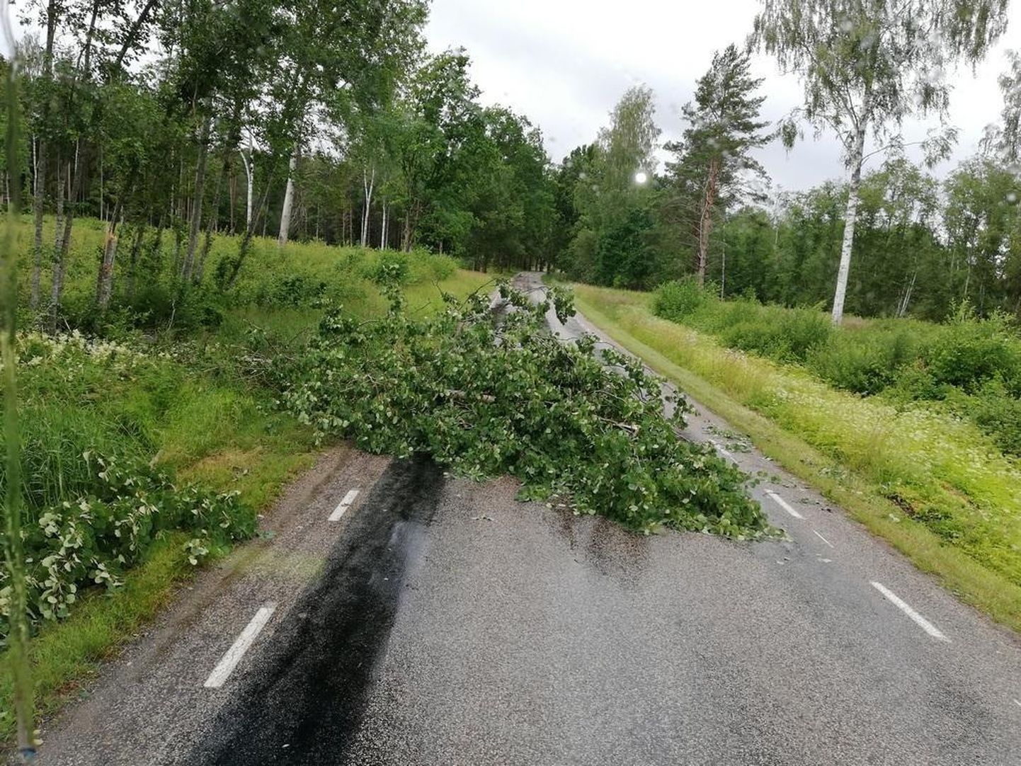 Teele murdunud puu takistavad liiklust üle Eesti.