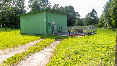 JUHTKIRI ⟩ Vesi sees, solk väljas